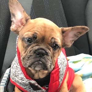 Meet your Posher, Matthew